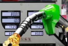 E20 Petrol Mileage Impact-E20 ಪೆಟ್ರೋಲ್ ಕಡ್ಡಾಯ ಸವಾರರಿಗೆ ಎಚ್ಚರಿಕೆ