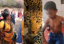 8 Year Old Boy Injured in Leopard Attack at MM Hills-: ಮಲೆ ಮಹದೇಶ್ವರ ಬೆಟ್ಟದಲ್ಲಿ 8 ವರ್ಷದ ಬಾಲಕ ಚಿರತೆ ಹಲ್ಲೆಗೆ ಗಾಯ