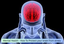 Mental Health – How Stress Affects the Brain