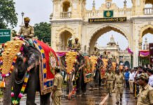 Mysore Dasara Elephants – ಧನಂಜಯ, ಮಹೇಂದ್ರ ಸೇರಿ 9 ಆನೆಗಳಿಗೆ ವಿಶೇಷ ಪೂಜೆ