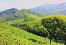 Kudremukh – ಕುದುರೆಮುಖದ ವಿಶೇಷತೆಗಳೇನು?