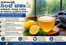ಮಳೆಗಾಲದಲ್ಲಿ ನಿಂಬೆ ಚಹಾ ಕುಡಿಯುವುದರಿಂದ ಸಿಗುವ ಆರೋಗ್ಯ ಪ್ರಯೋಜನಗಳೇನು?