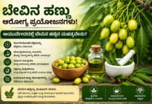 ಬೇವಿನ ಹಣ್ಣು ತಿನ್ನುವುದರಿಂದ ಏನು ಪ್ರಯೋಜನ ಆಯುರ್ವೇದದಲ್ಲಿ ಇದರ ಮಹತ್ವವೇನು