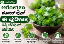 Health Tips – ಆರೋಗ್ಯಕ್ಕೂ ಸೂಪರ್ಫುಡ್ ಈ ಪುದೀನಾ ಆಹಾರದಲ್ಲಿ ಸೇರಿಸಿಕೊಂಡರೆ ಸಿಗುತ್ತೆ ಹಲವು ಪ್ರಯೋಜನ!