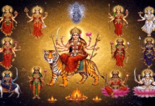 Dasara : Navratri 9 Days – ದುರ್ಗಾದೇವಿಯ ನವದುರ್ಗೆಯರ ಮಹತ್ವ ತಿಳಿಯಿರಿ