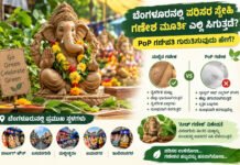 Eco-friendly ganesha – ಪಿಓಪಿಗೂ ಈ ಪರಿಸರ ಸ್ನೇಹಿ ಗಣೇಶ ಮೂರ್ತಿಗೂ ಇರುವ ವ್ಯತ್ಯಾಸ ಏನು?