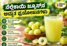 Amazing Benefits of Amla Juice – ನೆಲ್ಲಿಕಾಯಿ ಜ್ಯೂಸ್ನ ಅದ್ಭುತ ಪ್ರಯೋಜನಗಳು