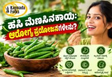 Benefits of Green Chilli – ಹಸಿ ಮೆಣಸಿನಕಾಯಿ: ಆರೋಗ್ಯ ಪ್ರಯೋಜನಗಳೇನು?